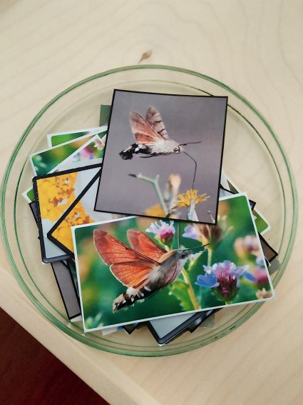 XXI Lubelski Festiwal Nauki