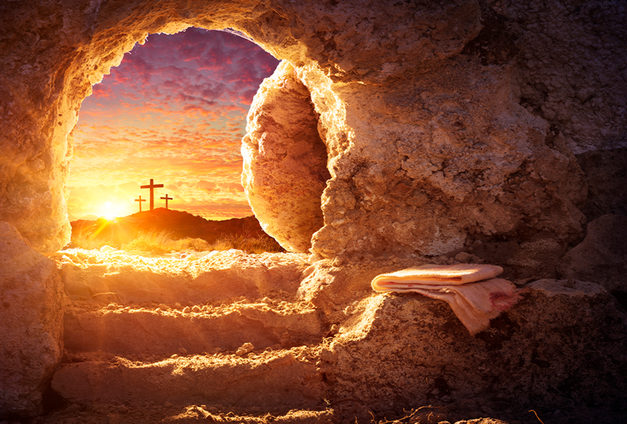 2024 - Aktualności - Organizacja Zakładowa NSZZ "Solidarność" Uniwersytetu Marii Curie-Skłodowskiej w Lublinie - Strona główna UMCS