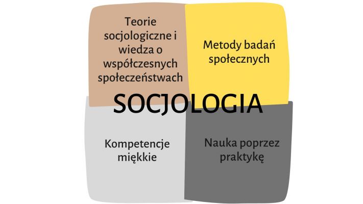 filary programu studiow socjologia 1 st.jpg