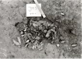 JM5, grób 4 skupisko szczątków kostnych Fot.@U. Kurzątkowska 1988.jpg
