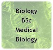 Biology BSc Medical Biology.jpg