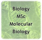 Biology MSc Molecular Biology.jpg