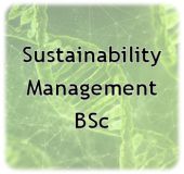 Sustainability Management.jpg