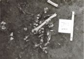 JM5, grób 4 szczątki kostne z centrum Fot.@U. Kurzątkowska 1988.jpg