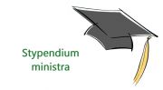 Stypendium MEiN 