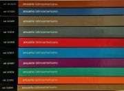 Sukces czasopisma "Anuario Latinoamericano"