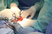 Transplantacja - reportaż, podcast i komentarz eksperta UMCS