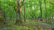 Warsztat: Slow Jogging. Slow Life. Zwolnij dla zdrowia