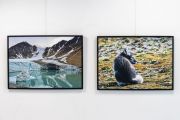 Naukowcy UMCS o Wyprawach Polarnych 