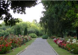 Ogród Botaniczny UMCS
