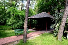 DSC_9195.JPG