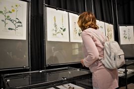 "Kolekcje botaniczne Wydziału Biologii i...