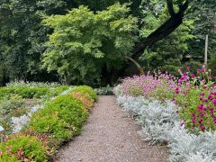 Rabaty na terenie rosarium obok Dworku Kościuszków.JPG