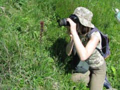 Dobużek, Lubelskie - 26.05.2009.jpg