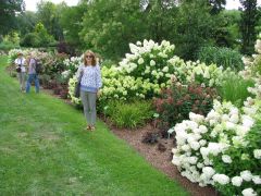 Arboretum Wojsławice  Ogrodu Botanicznego Uniwersytetu...