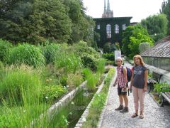 Ogród Botaniczny Uniwersytetu Wrocławskiego -26.07.2018.JPG