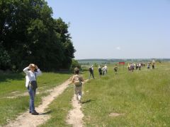 Rezerwat Przyrody Gliniska, Lubelskie - 3.06.2011.JPG