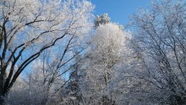 DSC08338.JPG