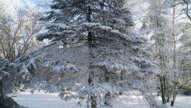 DSC08348.JPG