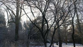 DSC08349.JPG