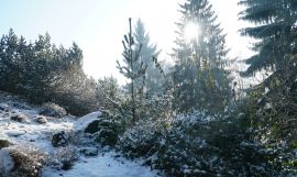 DSC08367.JPG