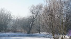 DSC08372.JPG