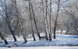 DSC08374.JPG