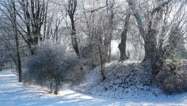 DSC08405.JPG