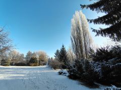 IMG_20250217_082658989_HDR.jpg