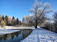 IMG_20250217_085311888_HDR.jpg