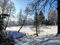 IMG_20250217_090003487_HDR.jpg