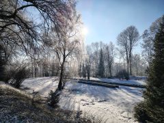 IMG_20250217_091100093_HDR.jpg
