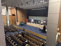 IMG_3385.jpeg