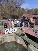 Hydro_Warsztaty6_fot_Ł_Galant.jpg