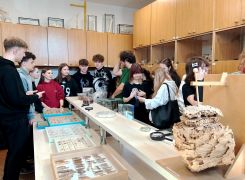 IMG_20250409_122453.jpg