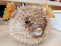 IMG_20250409_122513.jpg