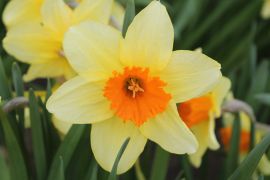 IMG_4689.JPG