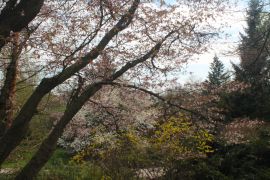 IMG_4812.JPG