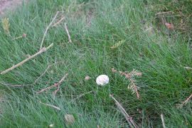 IMG_4856.JPG