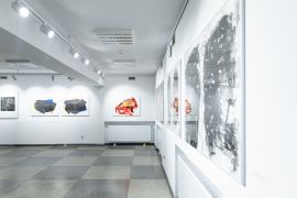 _MG_2664.jpg