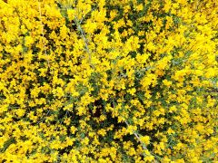 IMG_20250521_124226.jpg