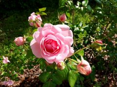 IMG_20250606_090835.jpg