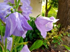 IMG_20250606_092010.jpg
