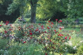IMG_6599.JPG