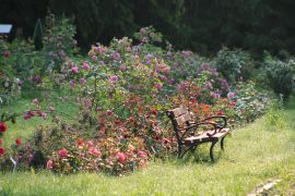 IMG_6605.JPG