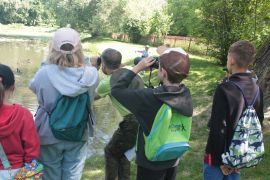 IMG_7437.JPG