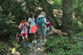 IMG_7468.JPG