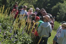 IMG_7526.JPG
