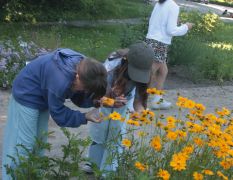 IMG_7632.JPG