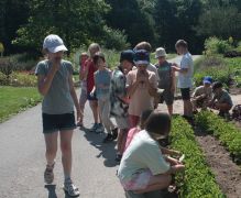 IMG_8205.JPG
